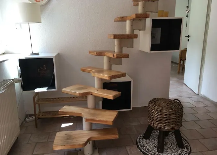 Cevennenremise * Berlin